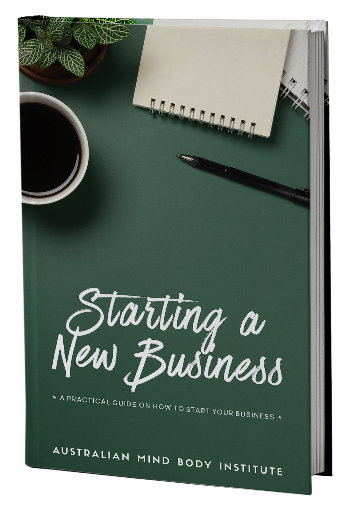 Starting a New Business: A practical guide on how to start your business